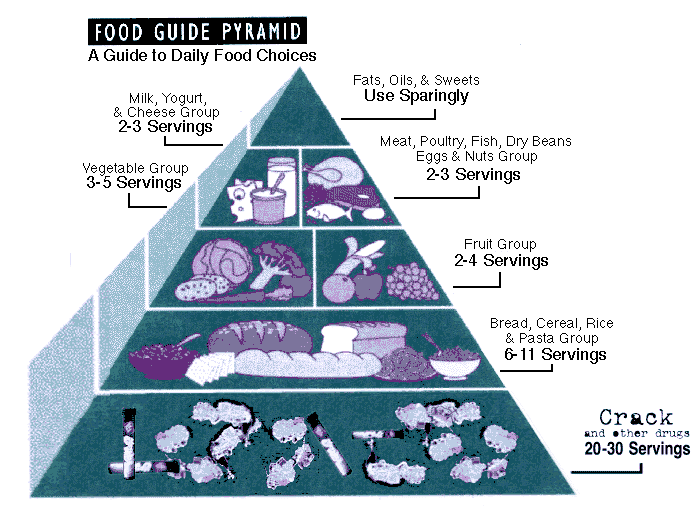 Food pyramid