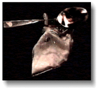 The Crack Freebase Kit